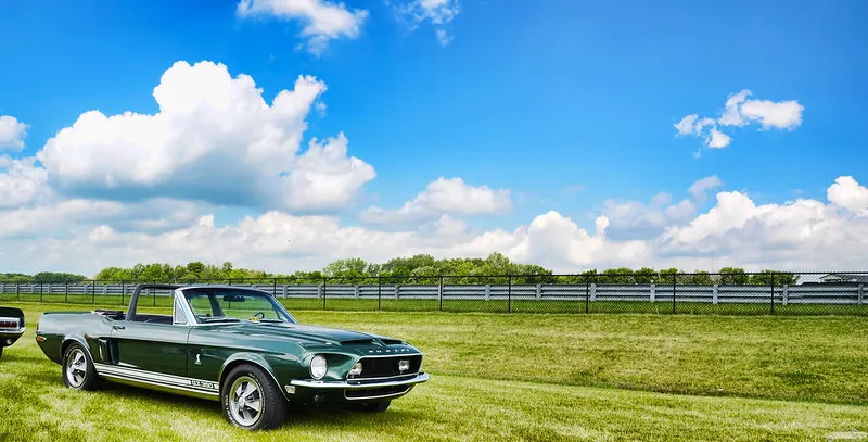 1968 Shelby GT350