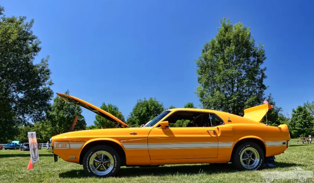 Shelby GT500 van 1969