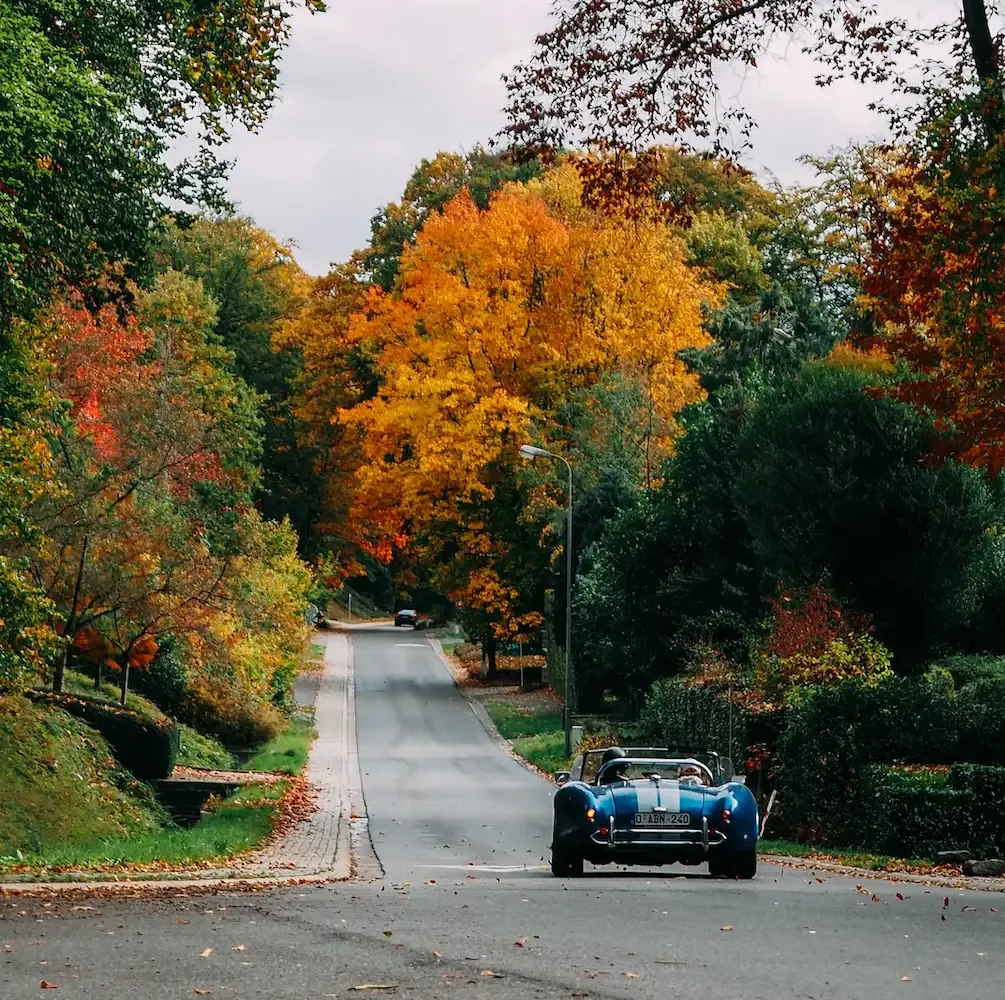AC Shelby Cobra on the road